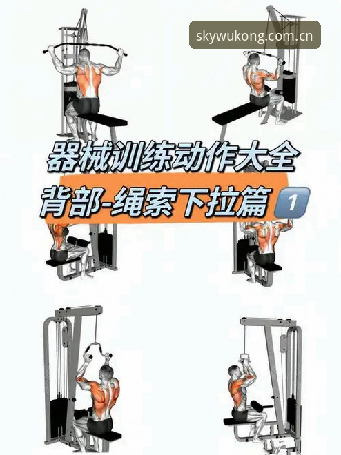 悟空体育平台使用技巧 悟空体育平台使用技巧完整指南:从入门到精通的操作手册