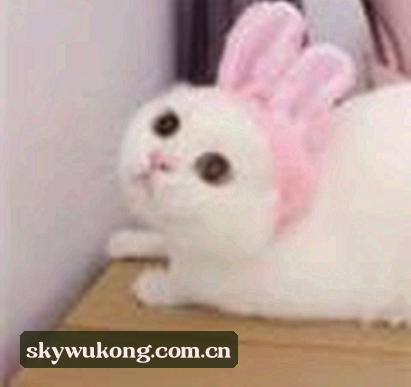 赵腾