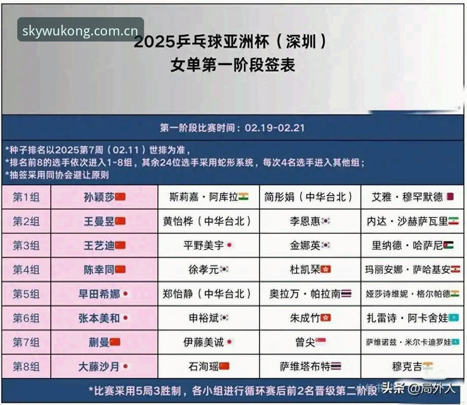 世界杯观赛受阻？悟空体育平台解读签证困境与观赛替代方案完整指南