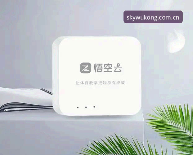 悟空体育平台使用指南：从下载到实战的完整流程